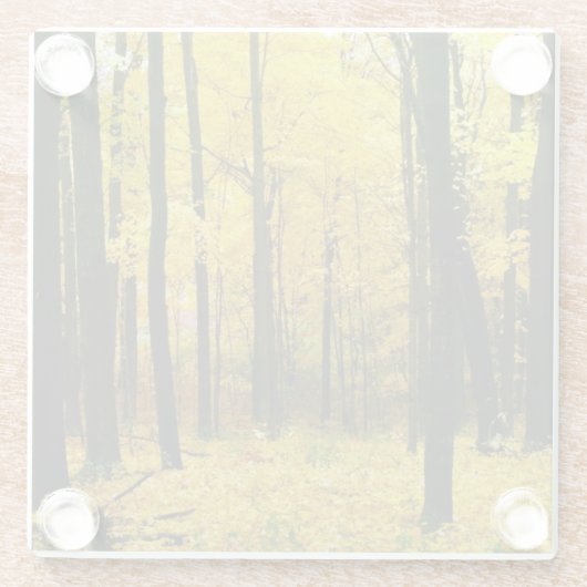 Herbstgelbwald Glasuntersetzer (Rückseite)