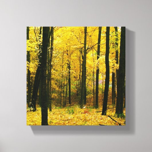 Herbstgelbwald Leinwanddruck (Vorderseite)