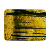 Herbstgelbwald Magnet (Horizontal)