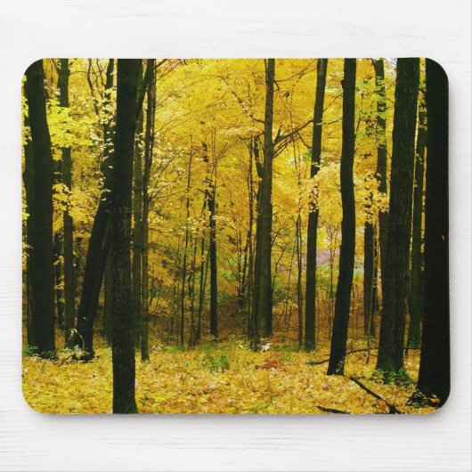 Herbstgelbwald Mousepad (Vorne)