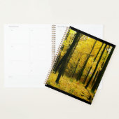 Herbstgelbwald Planer (Anzeige)