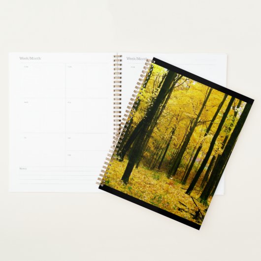 Herbstgelbwald Planer (Anzeige)