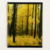 Herbstgelbwald Planer (Vorderseite)