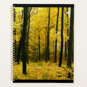 Herbstgelbwald Planer