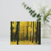 Herbstgelbwald Postkarte (Stehend Vorderseite)