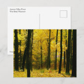 Herbstgelbwald Postkarte (Vorne/Hinten)