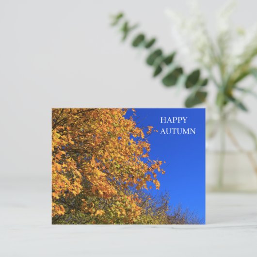 Herbstgelbwald Postkarte (Stehend Vorderseite)