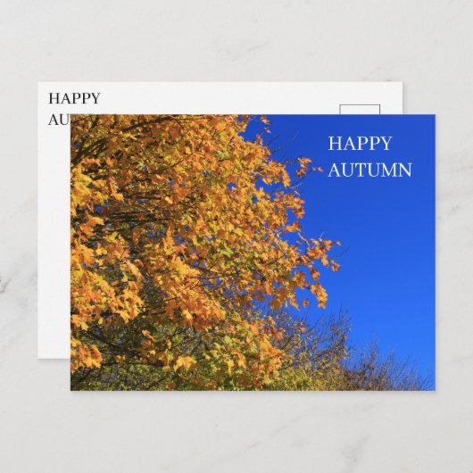 Herbstgelbwald Postkarte (Vorne/Hinten)