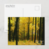 Herbstgelbwald Postkarte (Vorne/Hinten)