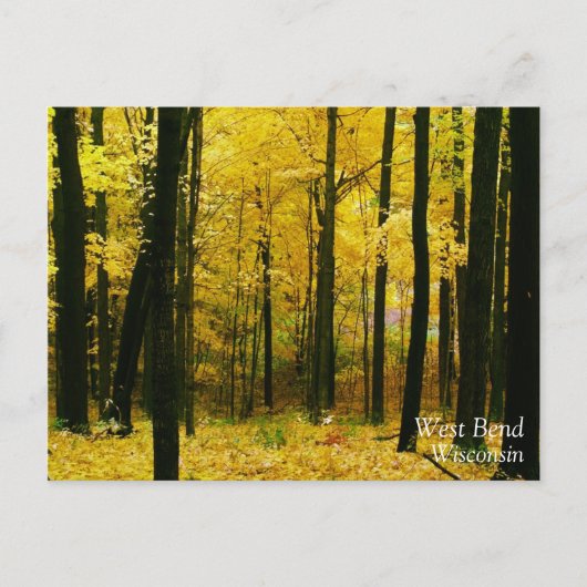 Herbstgelbwald Postkarte (Vorderseite)