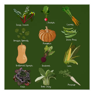 Herbstgemüse Ernte Poster