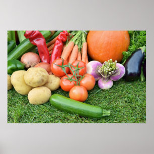 Herbstgemüse Poster
