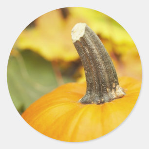 Herbstgestaltung Runder Aufkleber