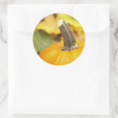 Herbstgestaltung Runder Aufkleber (Tasche)