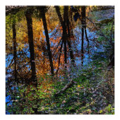 Herbstgewässer Fotodruck (Vorne)