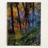 Herbstgewässer Planer (Vorderseite)