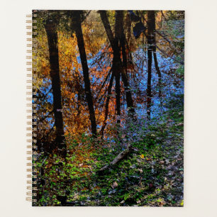 Herbstgewässer Planer
