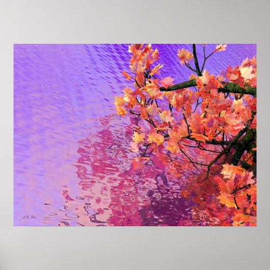 Herbstgewässer Poster (Vorne)