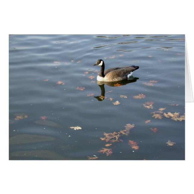 Herbstgichkarte (Vorderseite (Horizontal))