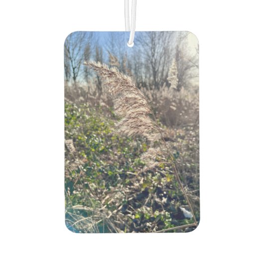 Herbstglück.. Autolufterfrischer (Rückseite)