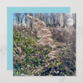 Herbstglück.. Einladung (Vorne/Hinten)