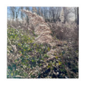 Herbstglück.. Fliese (Vorderseite)