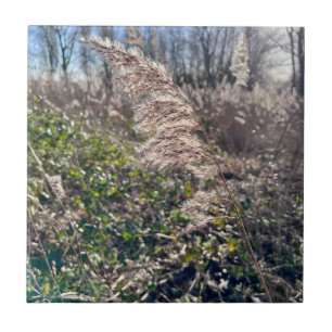 Herbstglück.. Fliese