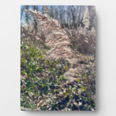 Herbstglück.. Fotoplatte (Vorderseite)