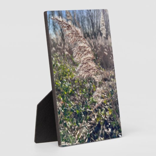 Herbstglück.. Fotoplatte (Seite)