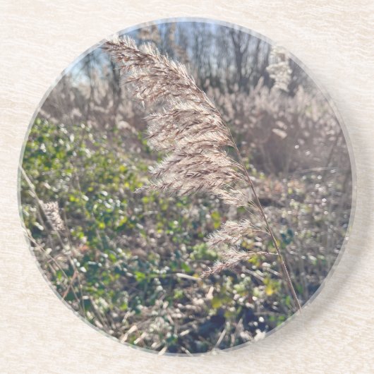 Herbstglück.. Getränkeuntersetzer (Vorne)