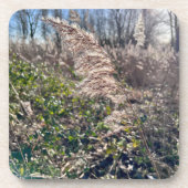 Herbstglück.. Getränkeuntersetzer (Vorderseite)