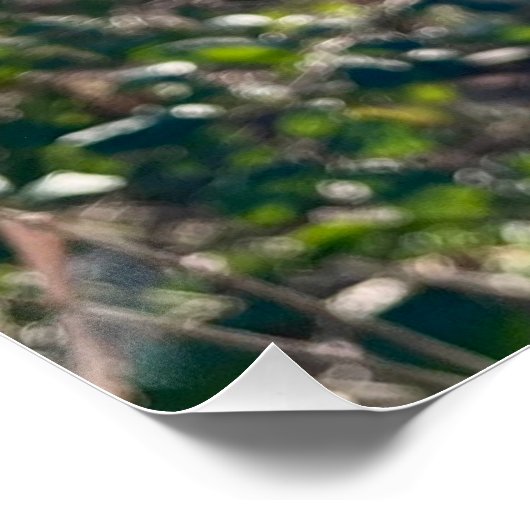 Herbstglück.. Poster (Ecke)