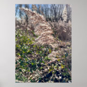 Herbstglück.. Poster (Vorne)