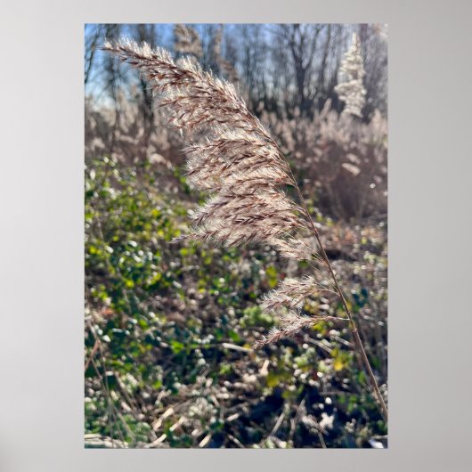 Herbstglück.. Poster (Vorne)