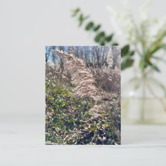 Herbstglück.. Postkarte (Stehend Vorderseite)