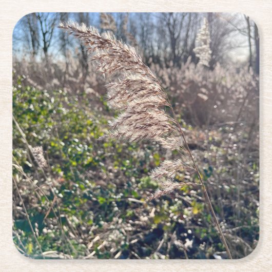 Herbstglück.. Rechteckiger Pappuntersetzer (Vorderseite)