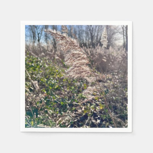 Herbstglück.. Serviette (Vorderseite)