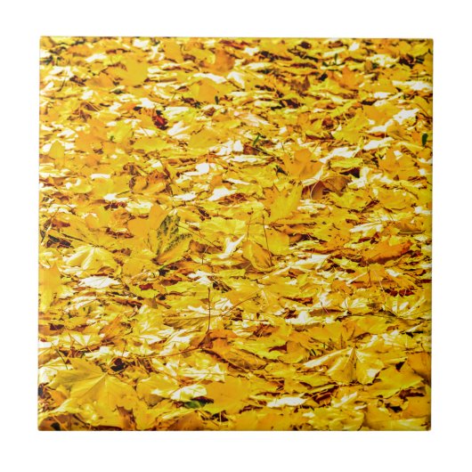 Herbstgold Fliese (Vorderseite)