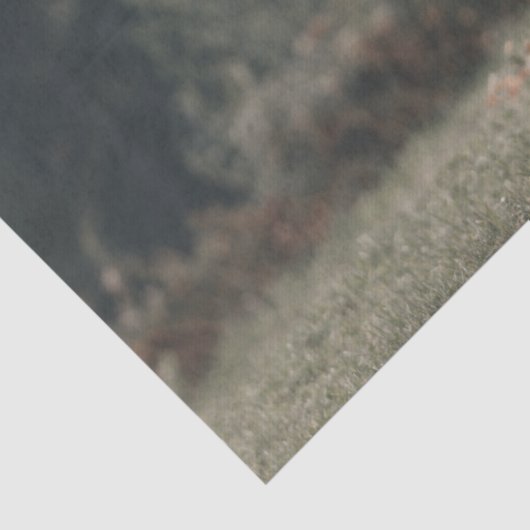 Herbstgras-Monogramm für Höllenkälber Seidenpapier (Detail)