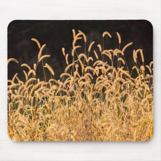 Herbstgras Mousepad (Vorne)