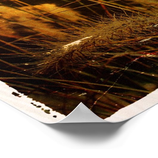 Herbstgras Poster (Ecke)