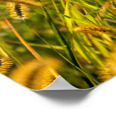 Herbstgras Poster (Ecke)