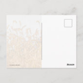Herbstgras Postkarte (Rückseite)
