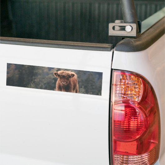 Herbstgrasfeld für Rinder Autoaufkleber (Auf Lkw)