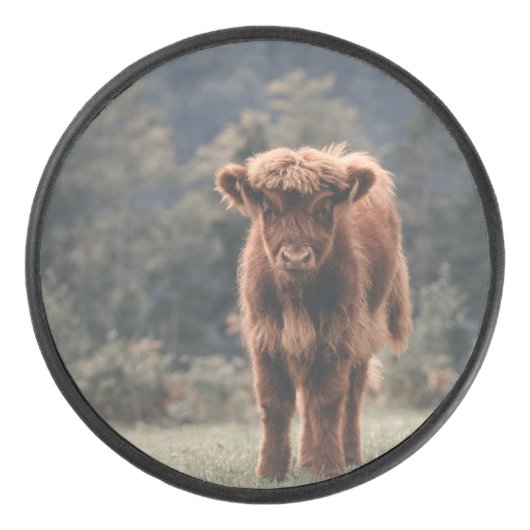 Herbstgrasfeld für Rinder Eishockey Puck (Vorderseite)