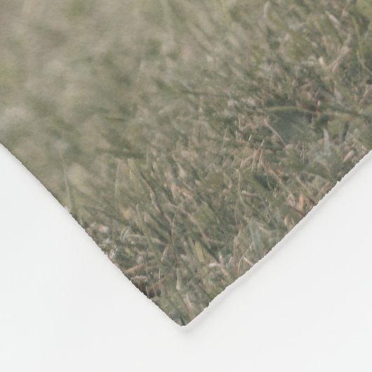 Herbstgrasfeld für Rinder Fleecedecke (Ecke)