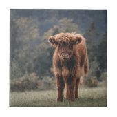 Herbstgrasfeld für Rinder Fliese (Vorderseite)