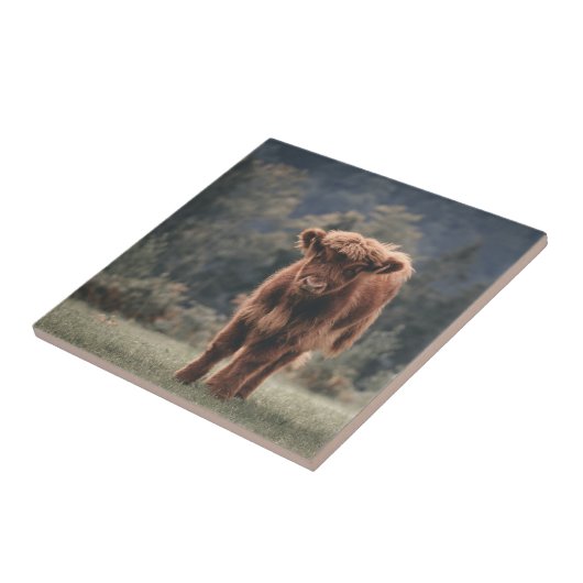 Herbstgrasfeld für Rinder Fliese (Seite)