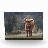 Herbstgrasfeld für Rinder Fotoblock (Vorderseite)