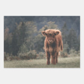 Herbstgrasfeld für Rinder Geschenkpapier Set (Vorderseite 3)